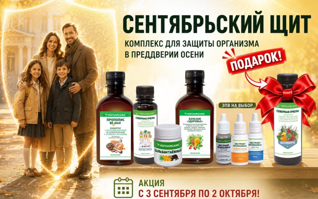 «СЕНТЯБРЬСКИЙ ЩИТ»
