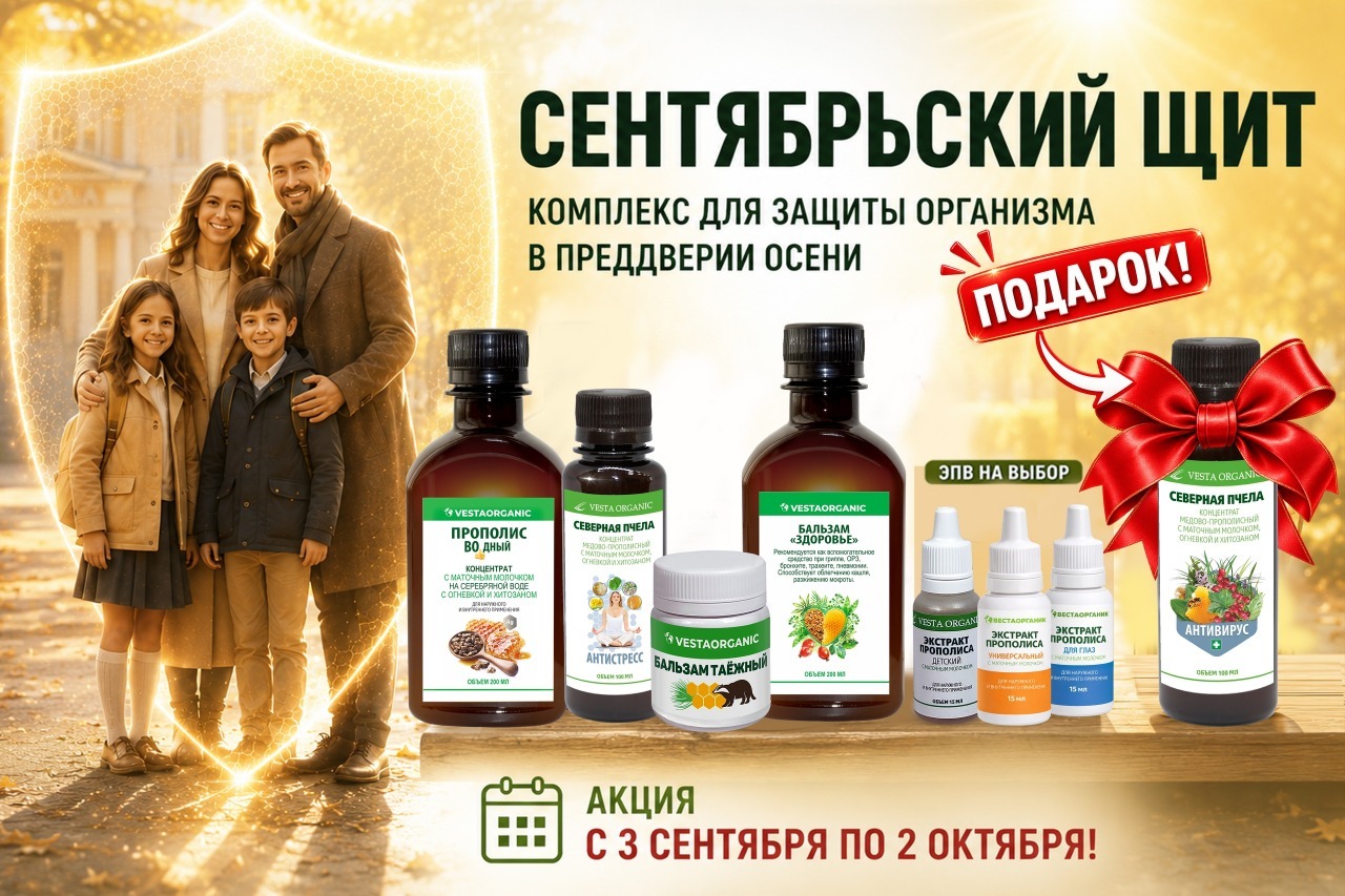 «СЕНТЯБРЬСКИЙ ЩИТ»